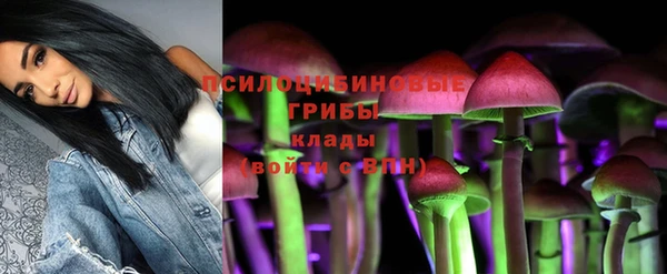 apvp Абдулино