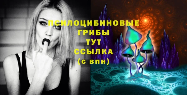 mdpv Алзамай