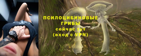 mdpv Алзамай