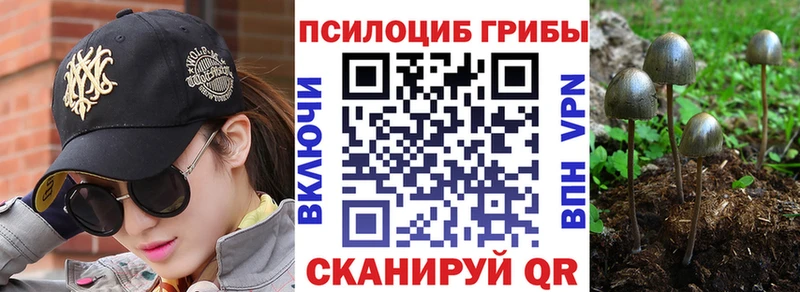 Галлюциногенные грибы Psilocybine cubensis  Игарка 